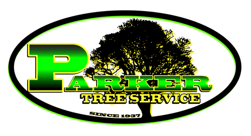 Parker Tree Trimming Services